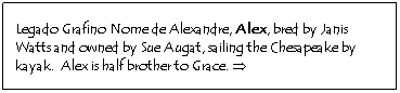 Text Box: Legado Grafino Nome de Alexandre, Alex, bred by Janis Watts and owned by Sue Augat, sailing the Chesapeake by kayak.  Alex is half brother to Grace. Þ

