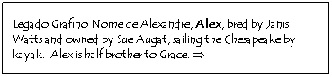 Text Box: Legado Grafino Nome de Alexandre, Alex, bred by Janis Watts and owned by Sue Augat, sailing the Chesapeake by kayak.  Alex is half brother to Grace. 
